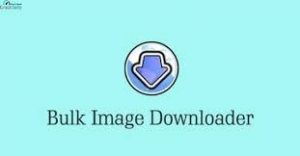 Bulk Image Downloader 6.11.0.0 Crack + Registration Code Download