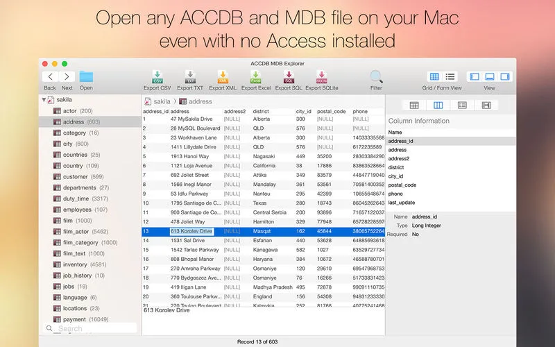 ACCDB MDB Explorer 2.4.7 Crack For Mac Full Free Download